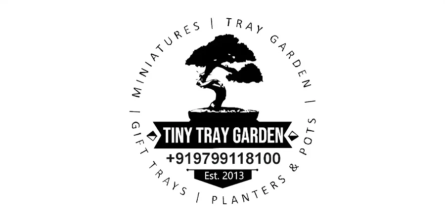 tiny-tray